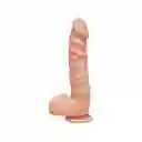 Dildo The D – Ragin’ D