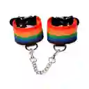 Kinky Pride Rainbow Bondage Set