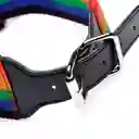 Kinky Pride Rainbow Bondage Set