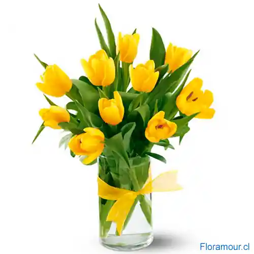 Daylight - Florero De 12 Tulipanes Amarillos