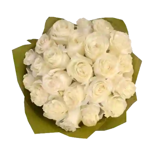 Ramo Con 24 Rosas Blancas