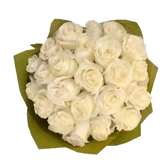 Ramo Con 24 Rosas Blancas