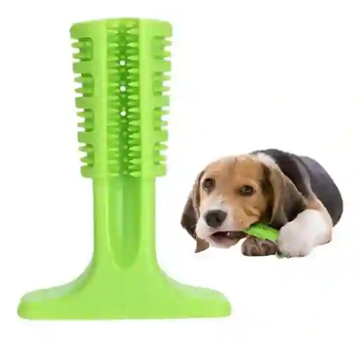 Pawise Cepillo Dientes Chewy L