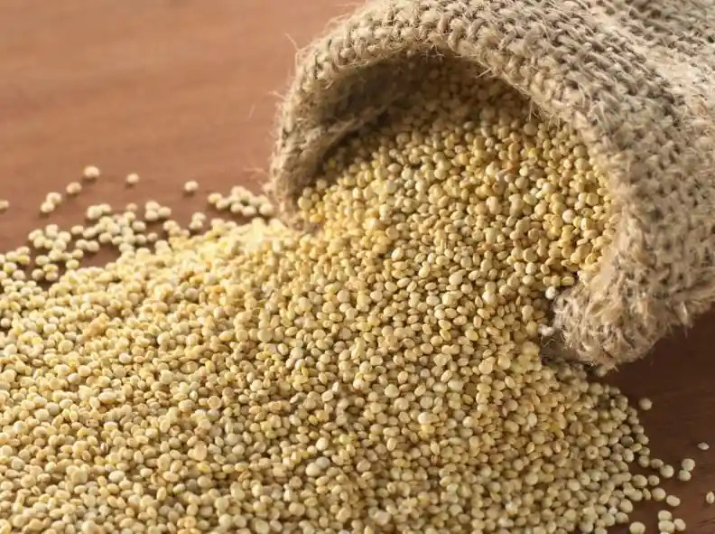 Quinoa Blanca 100grs