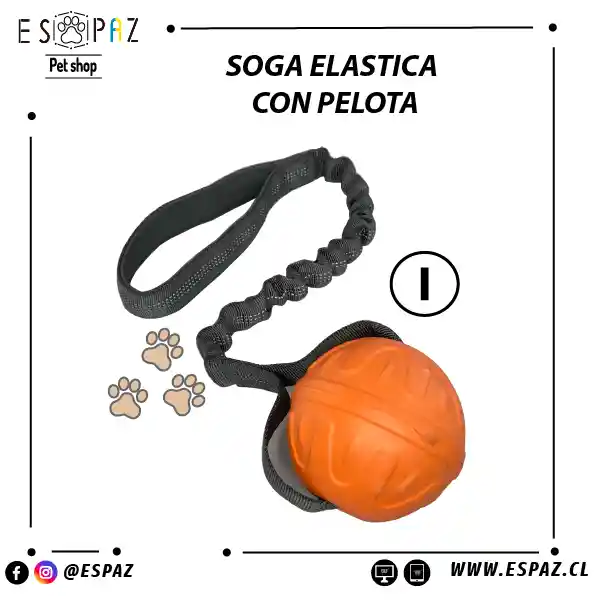 Soga Elastica Con Pelota