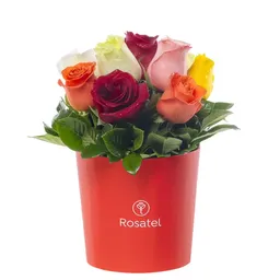 Sombrerera Roja Mediana Con 10 Rosas Variadas