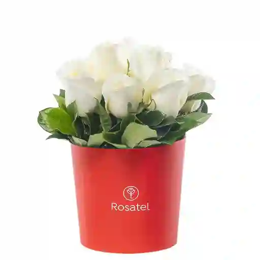 Sombrerera Roja Mediana Con 10 Rosas Blancas