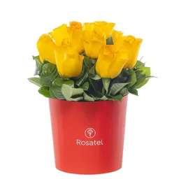 Sombrerera Roja Mediana Con 10 Rosas Amarillas