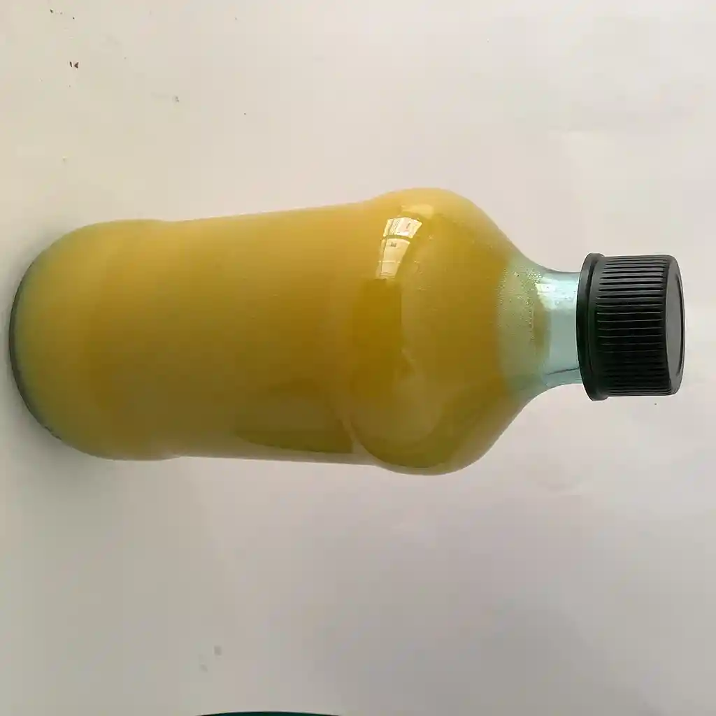 Jugo Mango