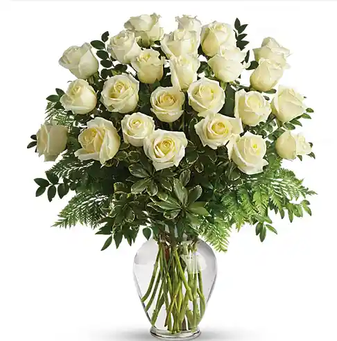 Santa María - Florero De 24 Rosas Blancas