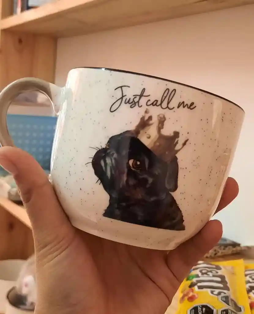 Taza, Tofu Pug Negro King