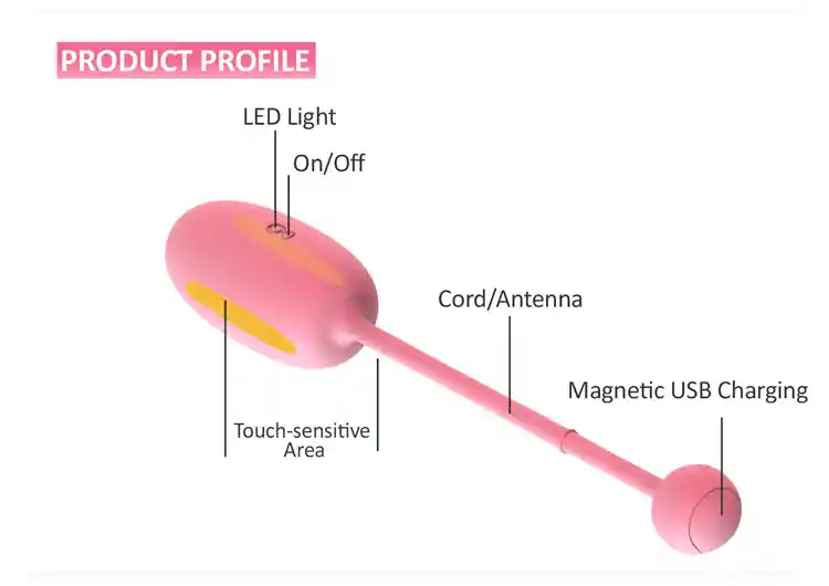 Kegel Coach