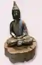 Buda Meditando