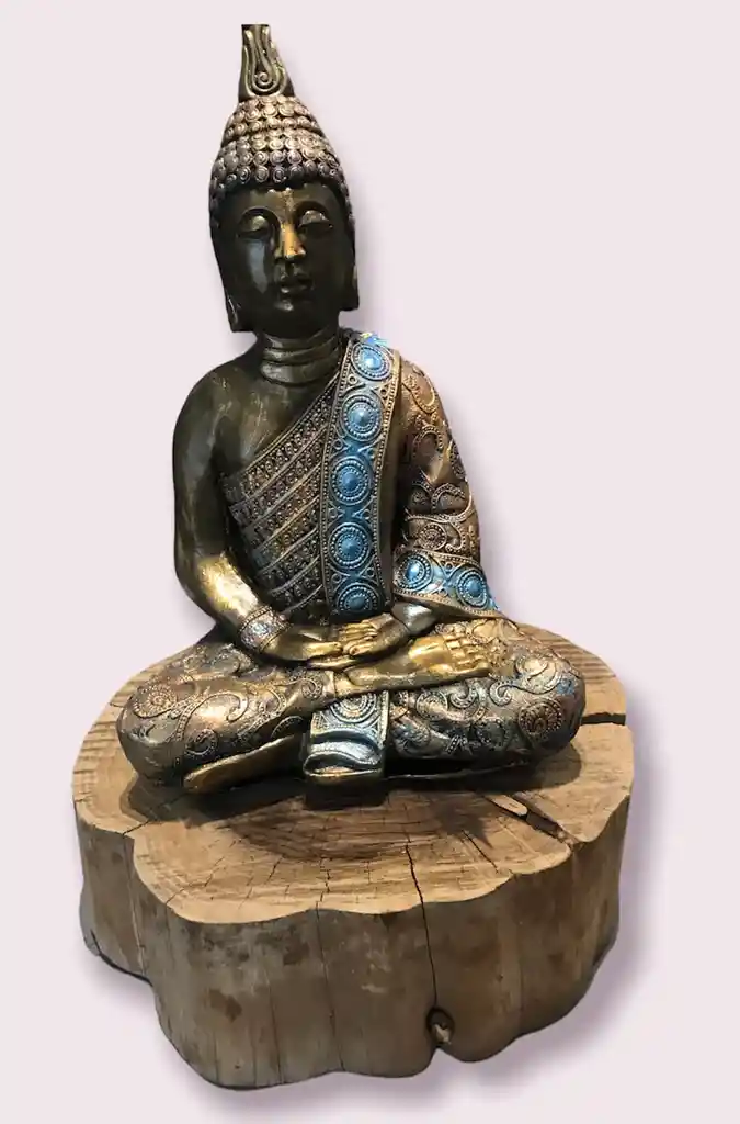 Buda Meditando