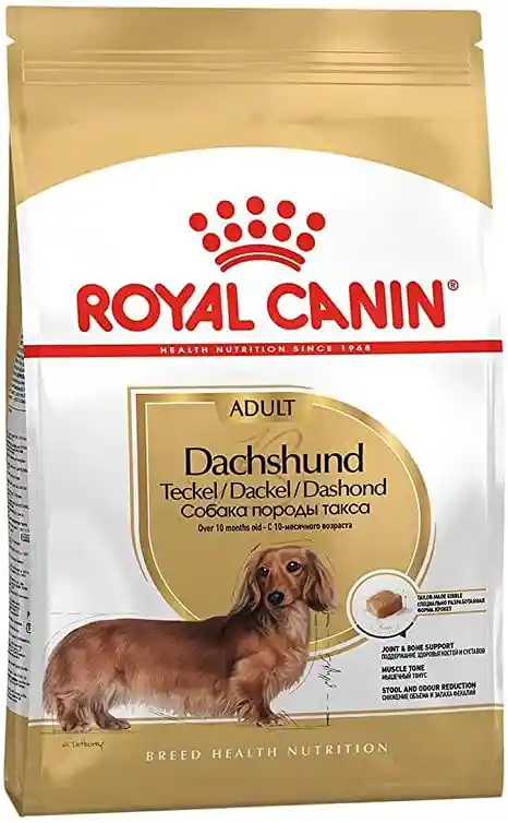 Royal Canin Dachshund Adulto