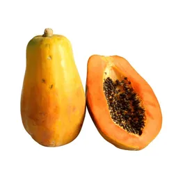 Papaya Exportacion