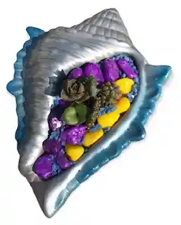 Suculentas En Caracola Pintada Plateada Azul