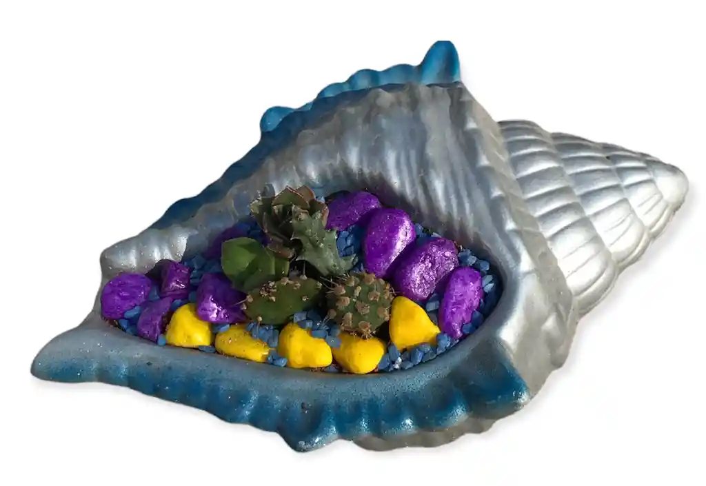 Suculentas En Caracola Pintada Plateada Azul