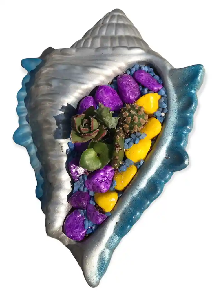 Suculentas En Caracola Pintada Plateada Azul