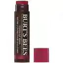 Burt's Bees Balsamo Labial Con Colordaisy