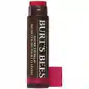 Burt's Bees Balsamo Labial Con Colormagnolia