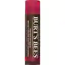 Burt's Bees Balsamo Labial Con Colormagnolia