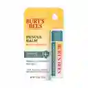 Burt's Bees Balsamo Labialreparacion Avanzada Labios Extra Secos 1 Un