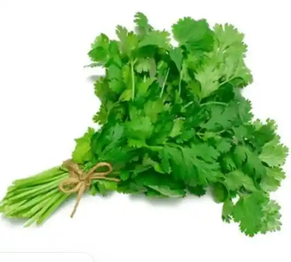 Cilantro Unidad