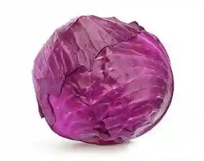 Repollo Morado