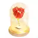Rosa Natural Preservada En Capsula De Cristal