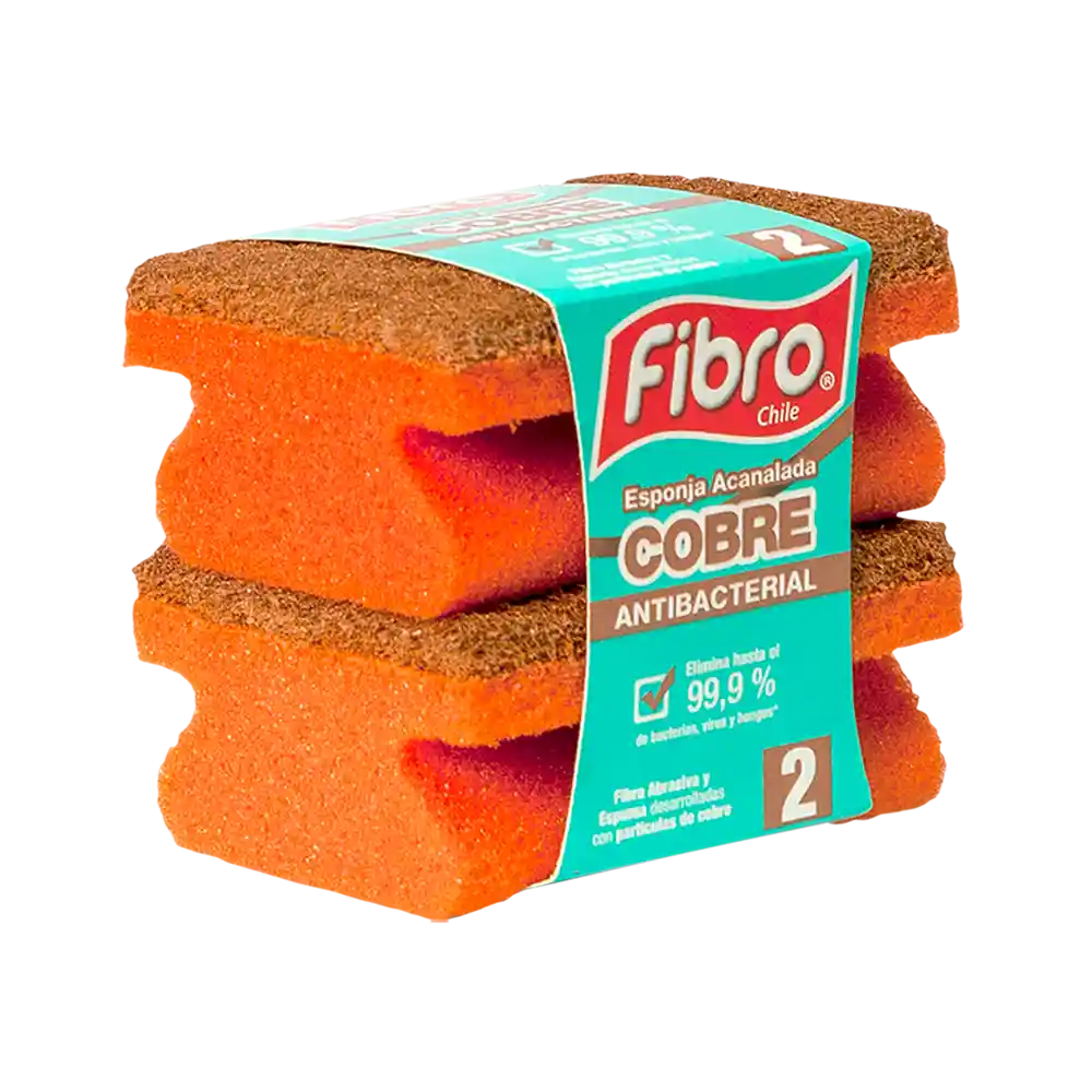 Fibro Esponja Nano Cobre Acanalada2 Unidades