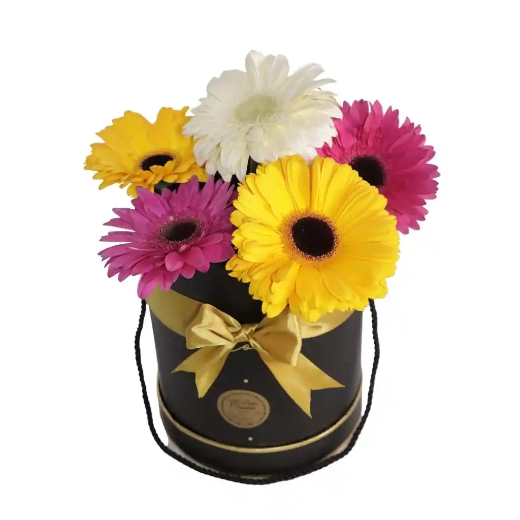 Box De Gerberas