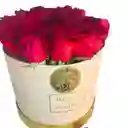 15 Rosas Ecuatorianas En Box