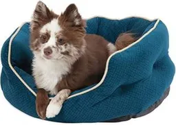 Apluxe Lounger