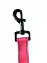 Correa Larga Para Perros Prinpipet 3 Mts-rosa/verde