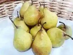 Pera Loica