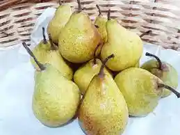 Pera Loica