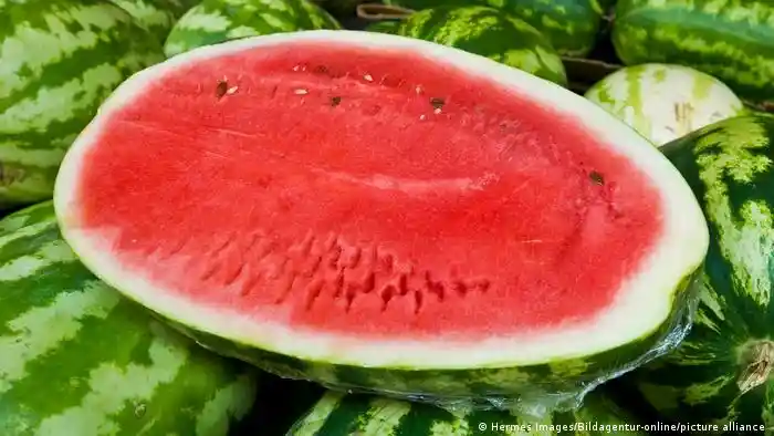 Sandia Chilena (mitad)