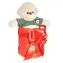 Peluche Osito Sweater En Box Para Regalo