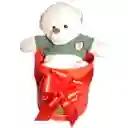 Peluche Osito Sweater En Box Para Regalo