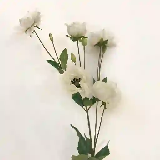 Flor Japónica