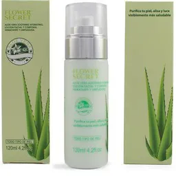 Loción Facial Y Corporal Limpiadora E Hidratante Aloe Vera