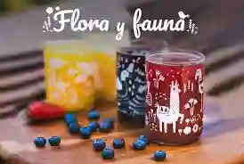 Flora & Fauna Juego De 4 Vasos