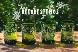 Reforestemos Juego De 4 Vasos