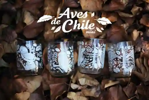 Aves De Chile Mini Juego De 4 Vasos
