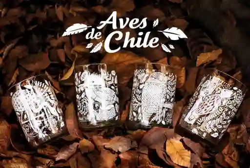 Aves De Chile Juego De 4 Vasos