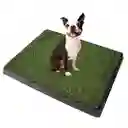 Baño Ecologico Mascota Perro Grande Xxl Potty Pad