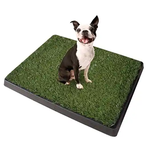 Baño Ecologico Mascota Perro Grande Xxl Potty Pad