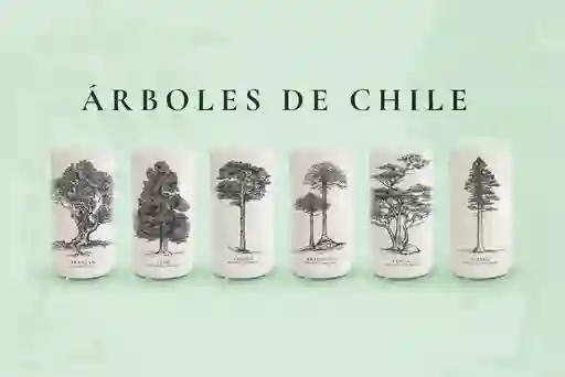 Árboles De Chile Juego De 6 Vasos