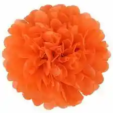 Flor Colgante Naranja